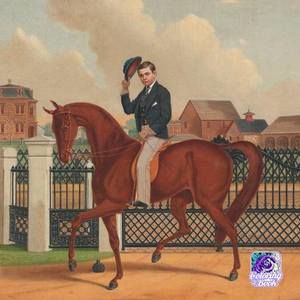 Meet your Posher, Thomas